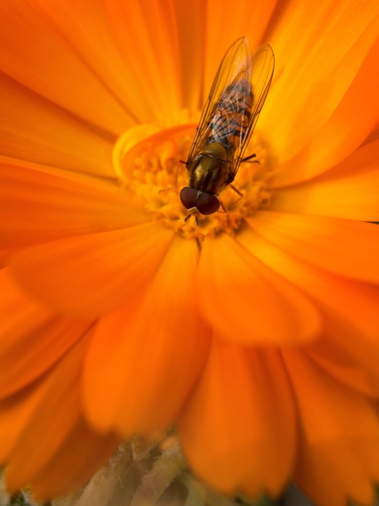 Photograph by Людмила Коныгина