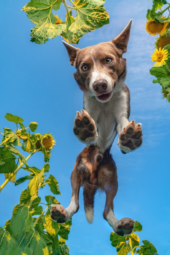 Photograph by Vladimir Smaženka