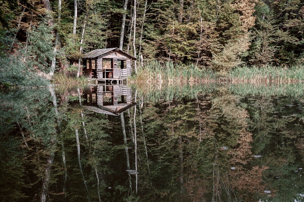 Photograph by Маргарита Рытикова