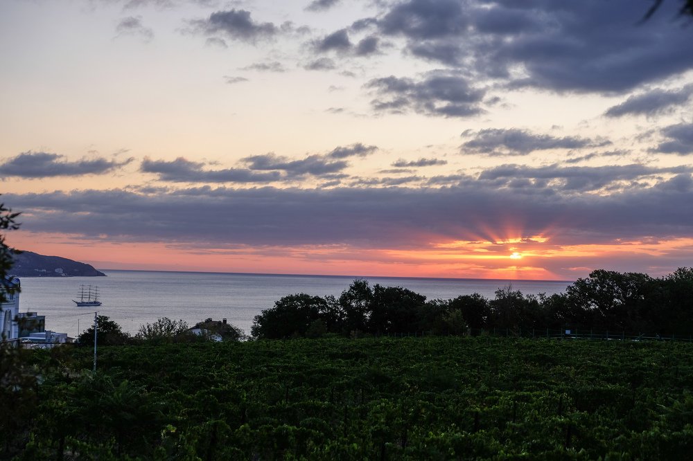 Photograph by Маргарита Рытикова