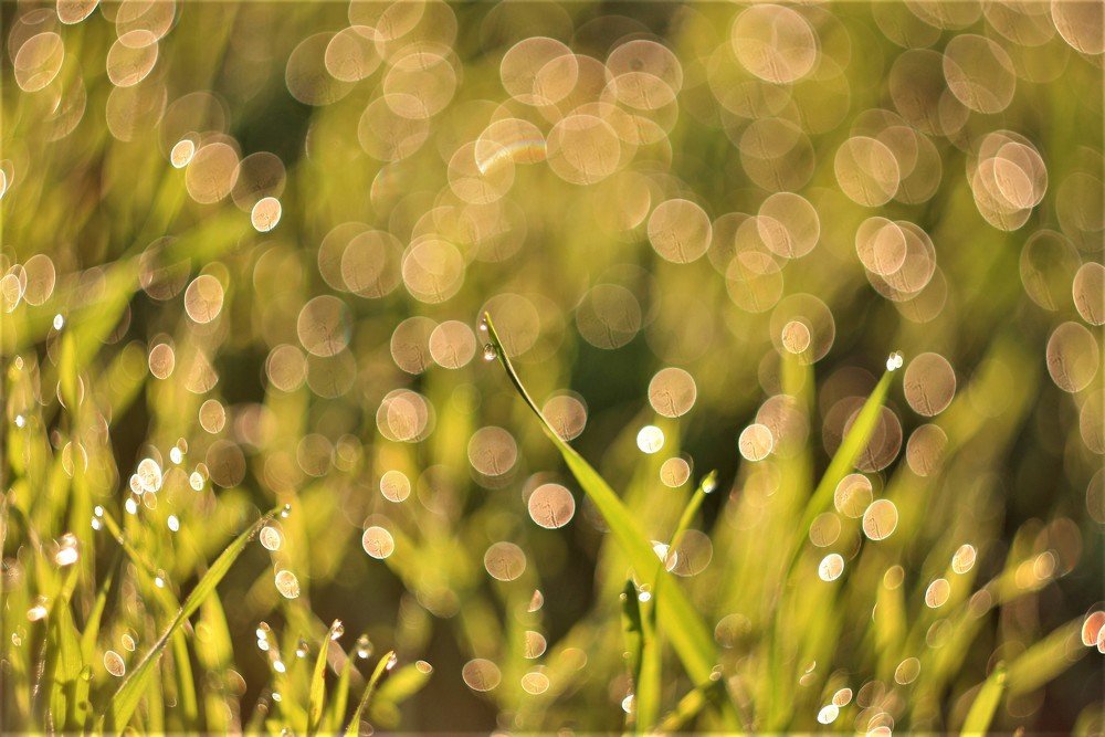 Photograph by Варвара Мелузова