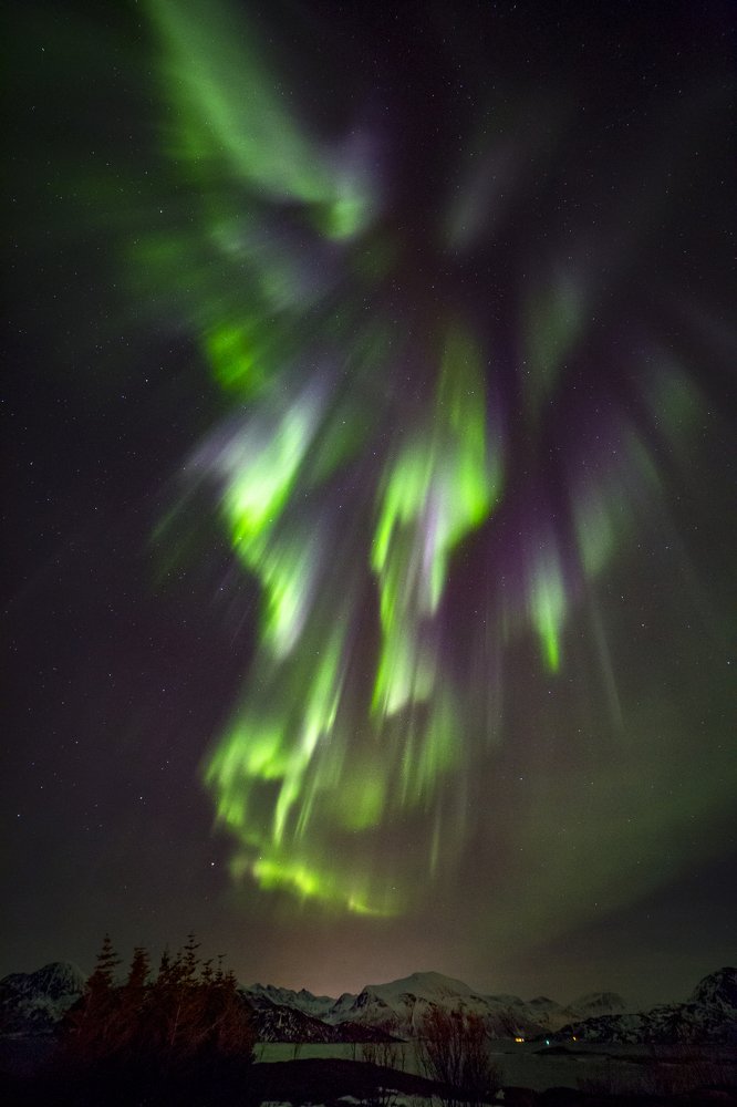 Photograph by Lars-Emil Mikkelsen