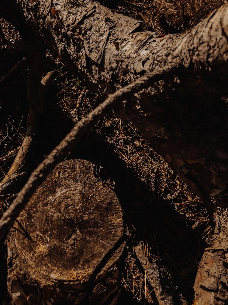 Photograph by Юлия Соколова