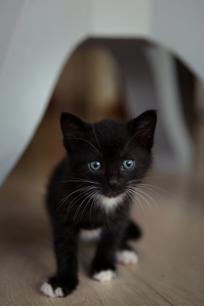 Photograph by Алина Евсеева