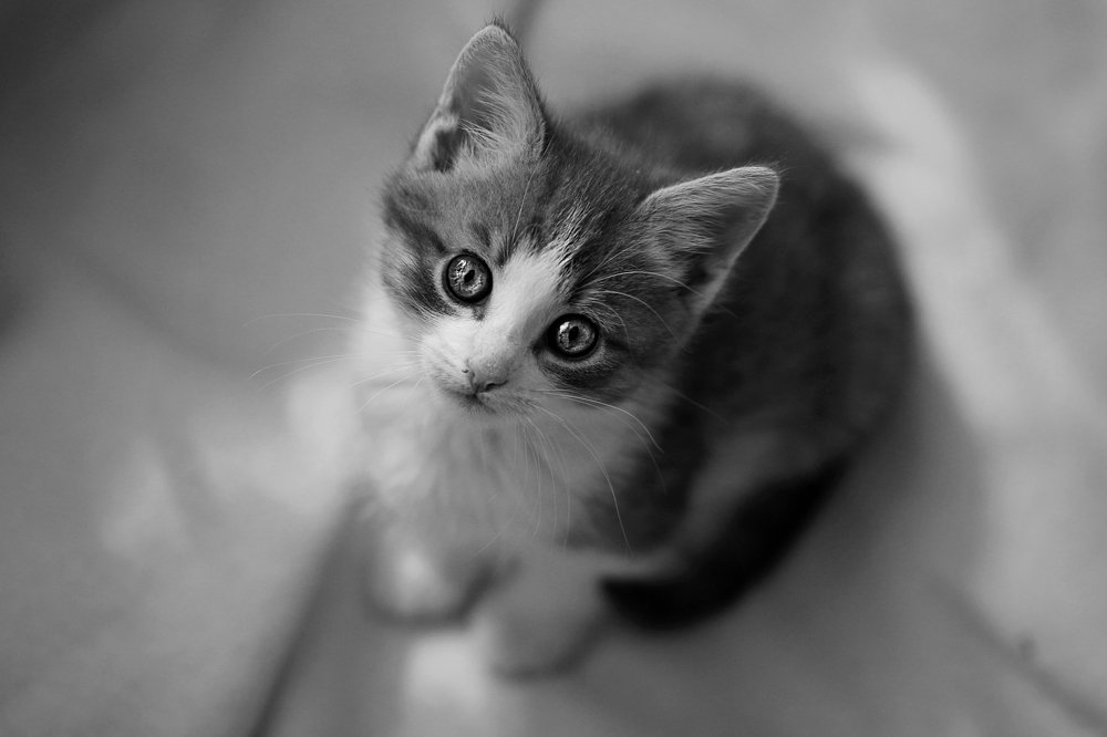 Photograph by Алина Евсеева