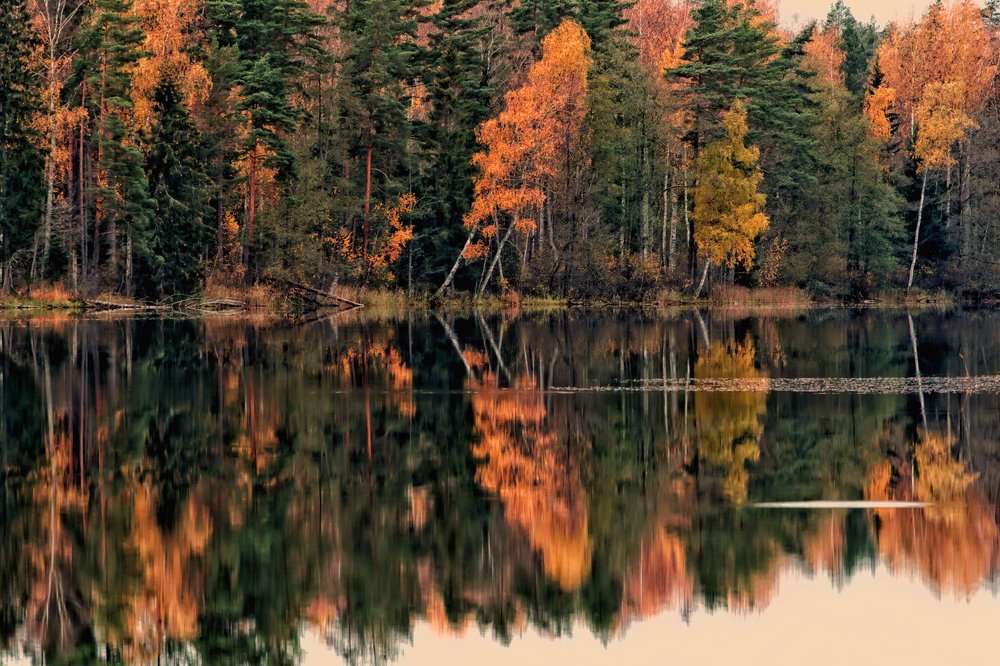 Photograph by Gaļina