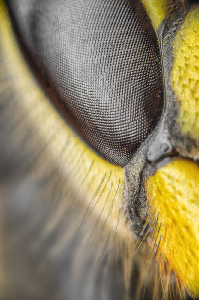 Photograph by Nunzio Santisi