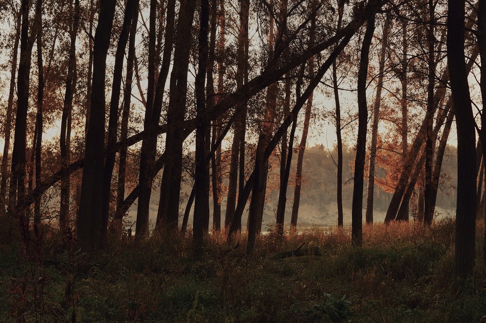 Photograph by Ирина Секачева