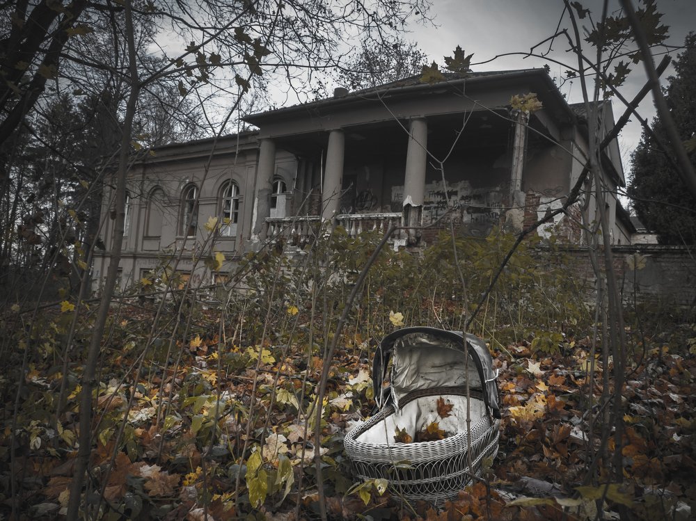 Photograph by Александр Устинов