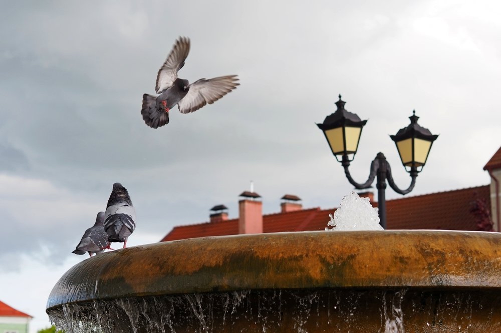 Photograph by андрей гусев