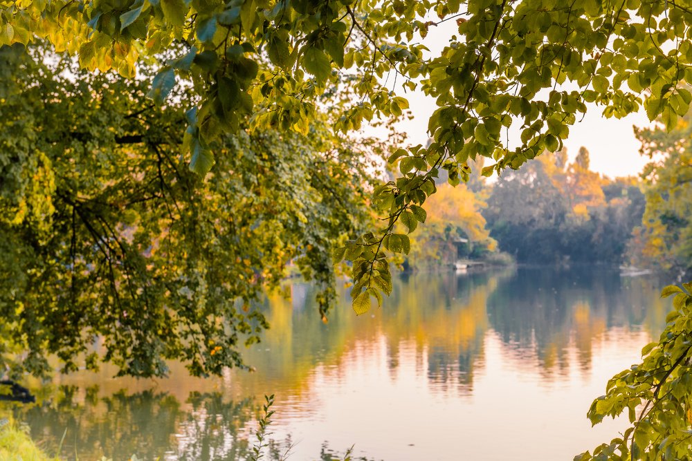 Осенние отражения.