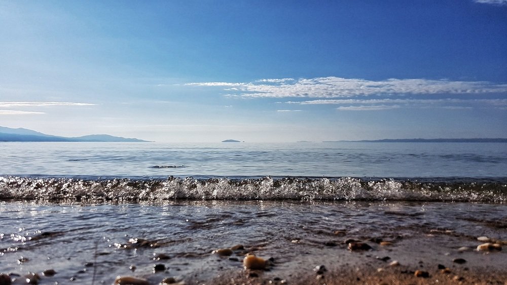Фотография автора Дана Богинская