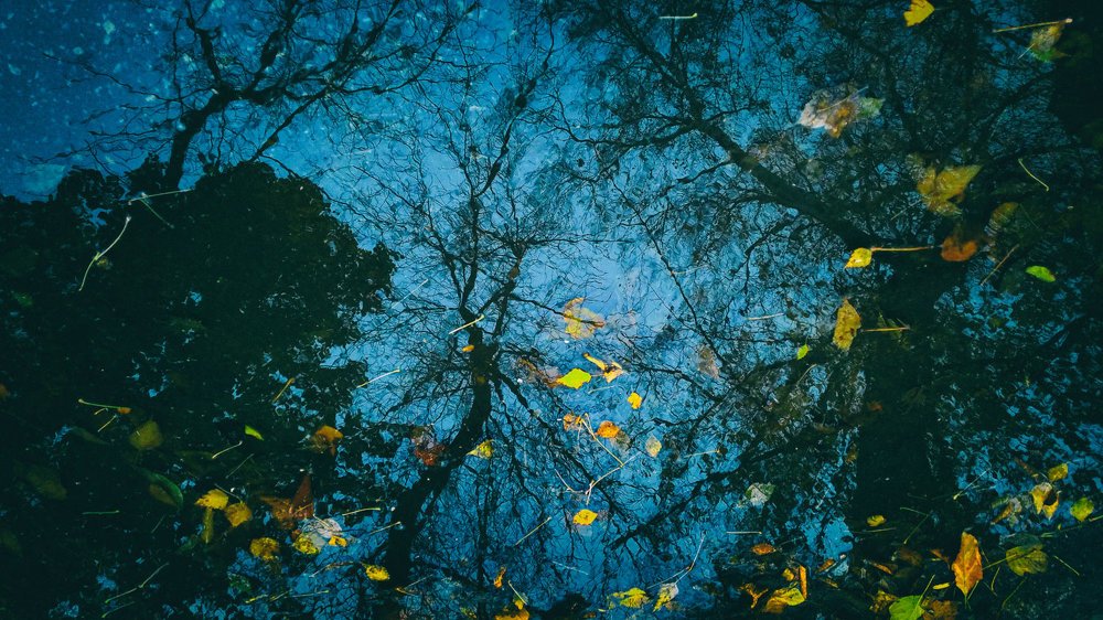 Photograph by Аркадий Саямов