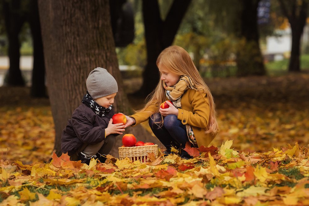 Осенние яблоки