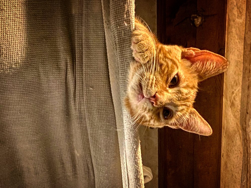 Photograph by Mario Ranuzzi