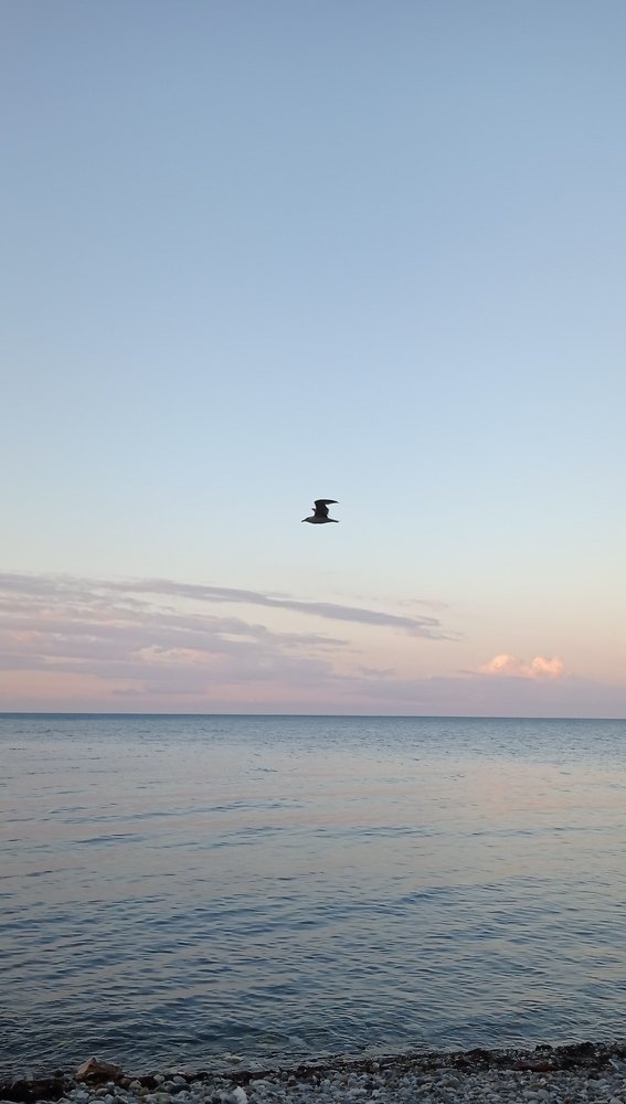 Photograph by Виктория Данилова