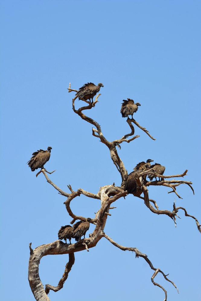 Photograph by Анатолий Орлов