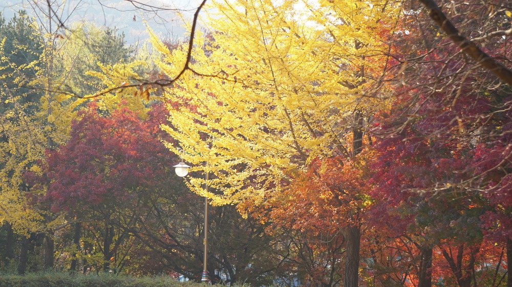 Photograph by Оксана Трофименко