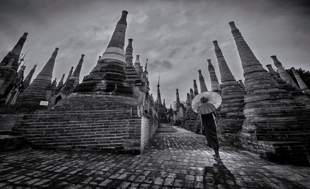 Photograph by Too Too