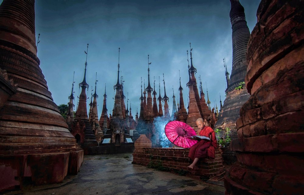 Photograph by Too Too