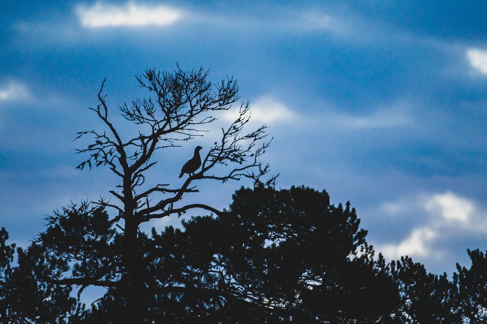 Photograph by Danil Husainov