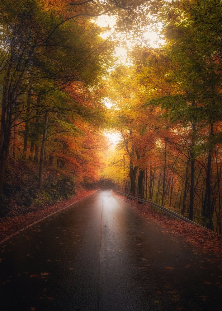 Photograph by Piotr Zagzil