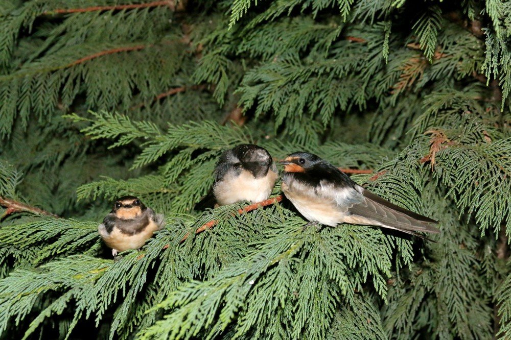 Photograph by Татьяна