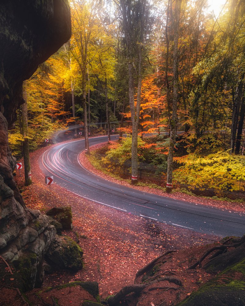 Photograph by Piotr Zagzil