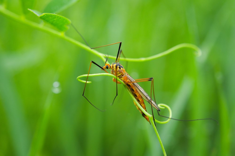 Photograph by Игорь Ковалёв