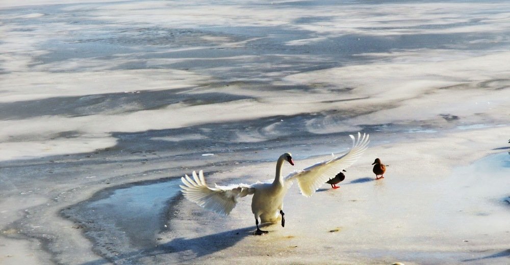 Фотография автора Дана Богинская