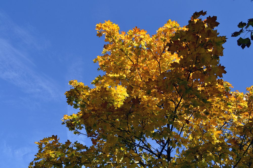 Photograph by Szabó László