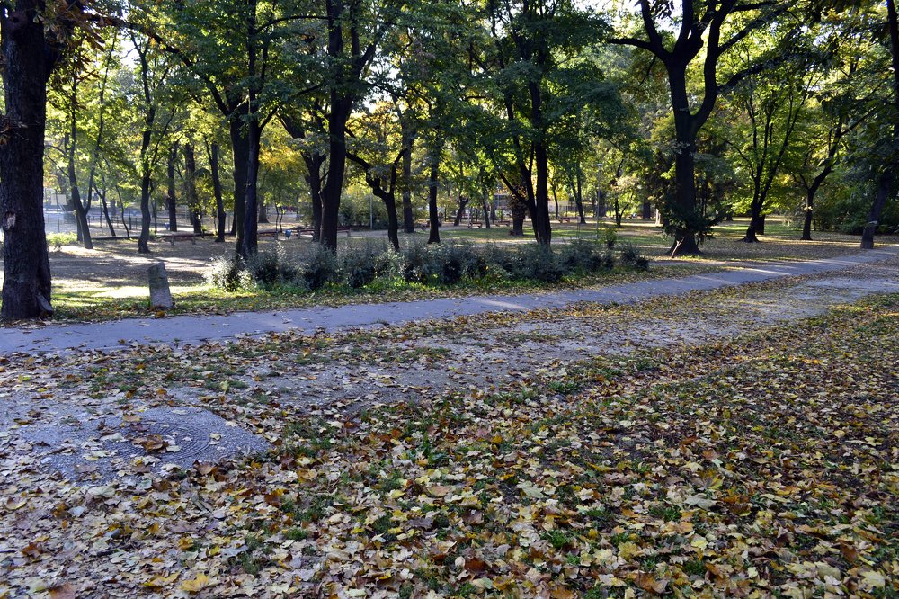 Photograph by Szabó László