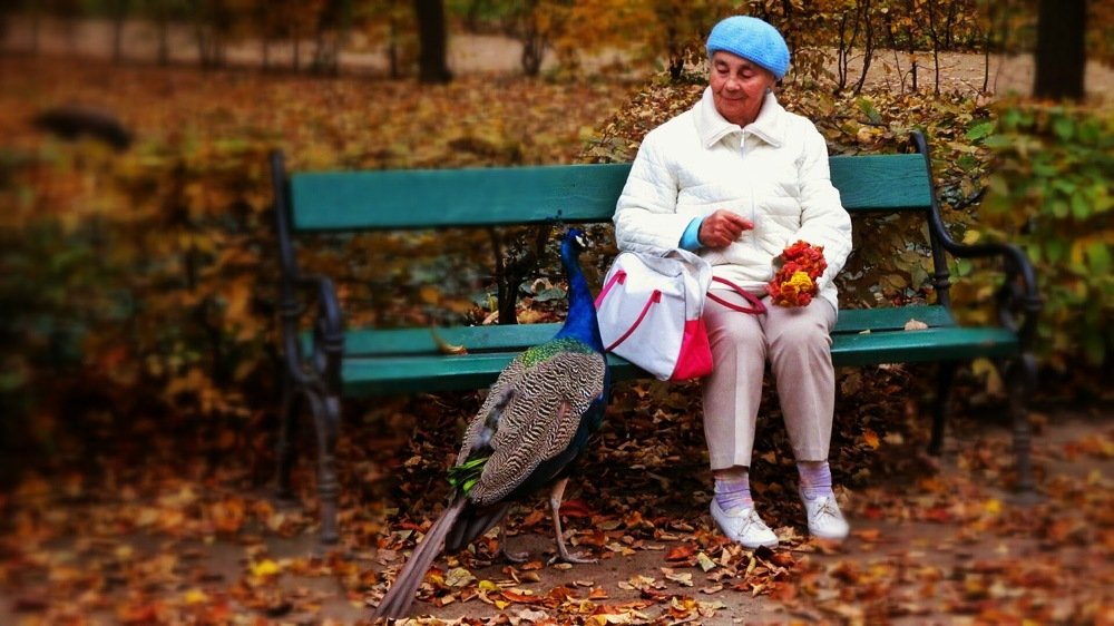 Фотография автора Дана Богинская