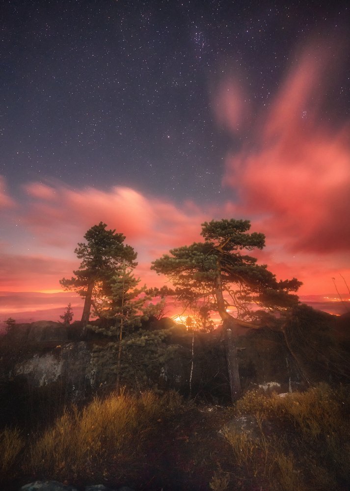 Photograph by Piotr Zagzil