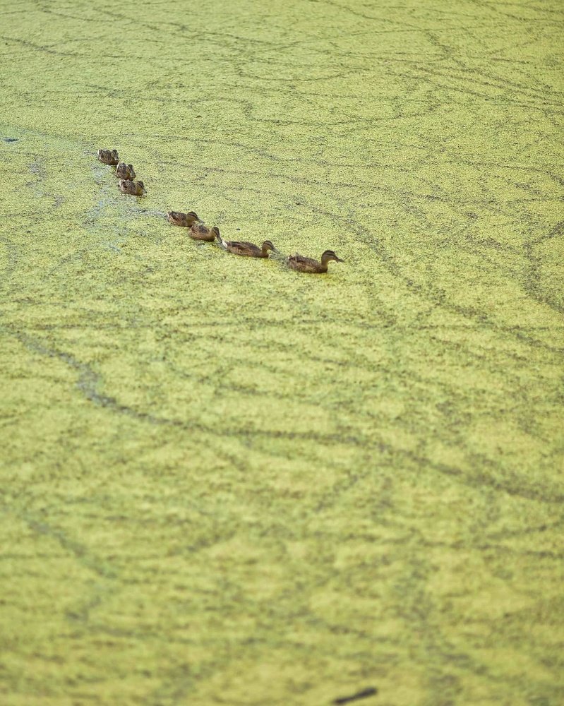 Photograph by Владимир Леликов-Кузьменко