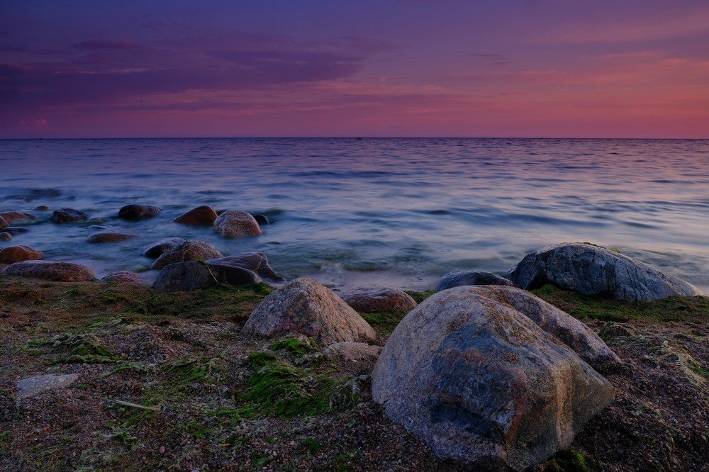 Photograph by 