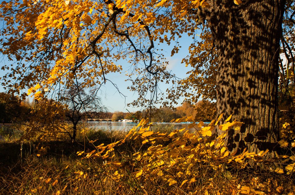 Photograph by Диляра Шарифзаде