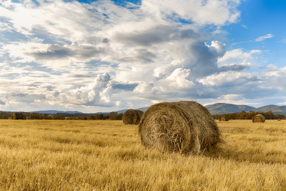 Photograph by Игорь Ковалёв