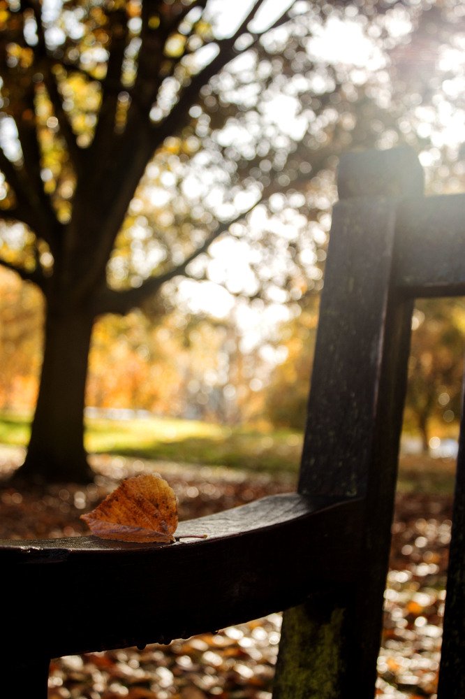 Photograph by Диляра Шарифзаде