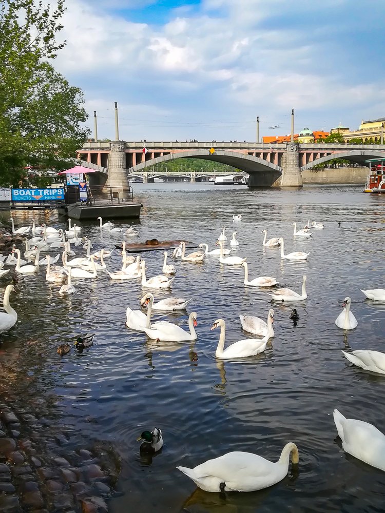 Photograph by Светлана Ветрова