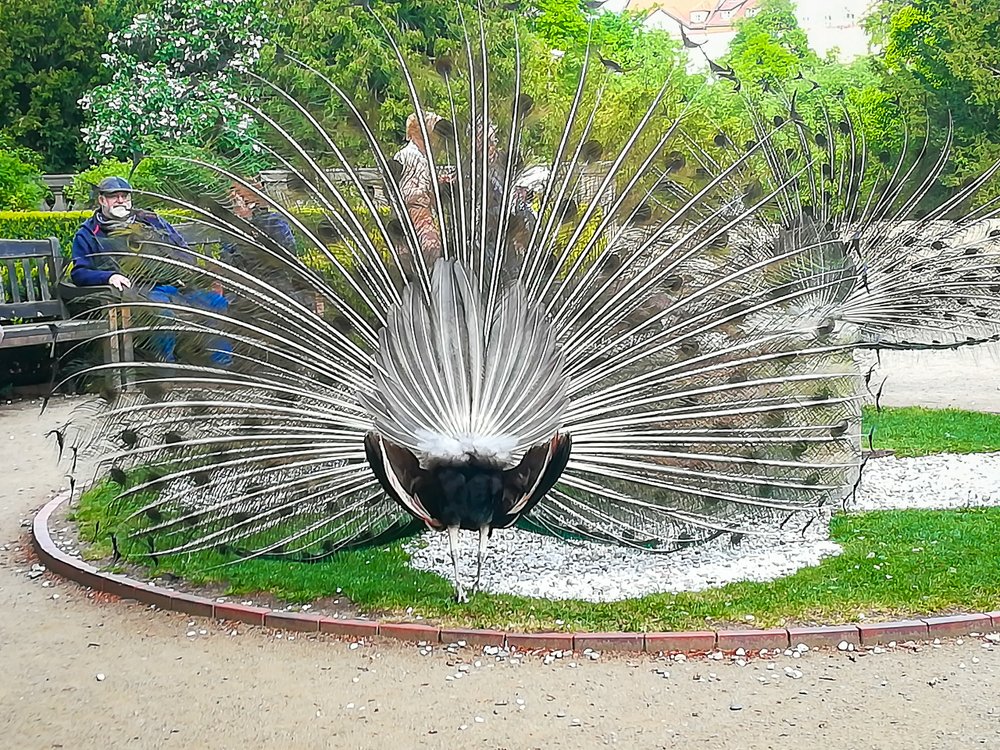 Photograph by Светлана Ветрова