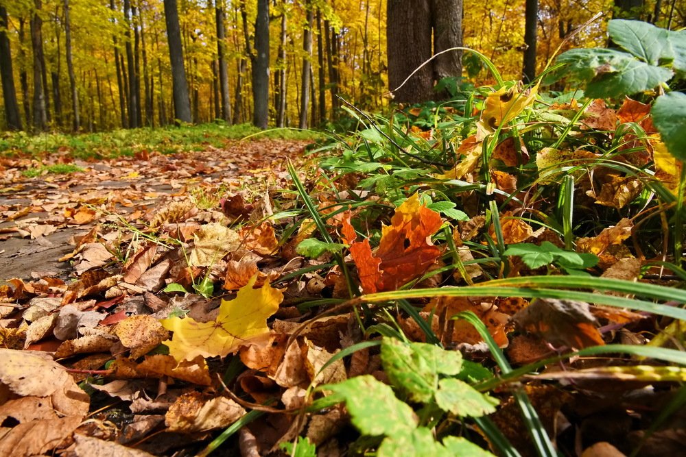 Photograph by Юрий Платухин