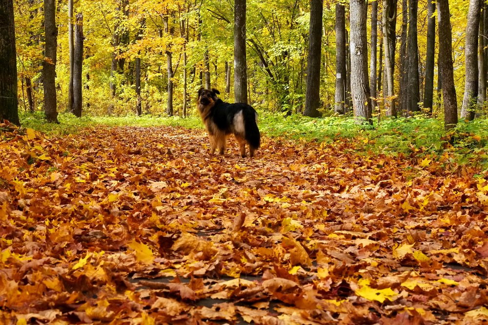 Photograph by Юрий Платухин