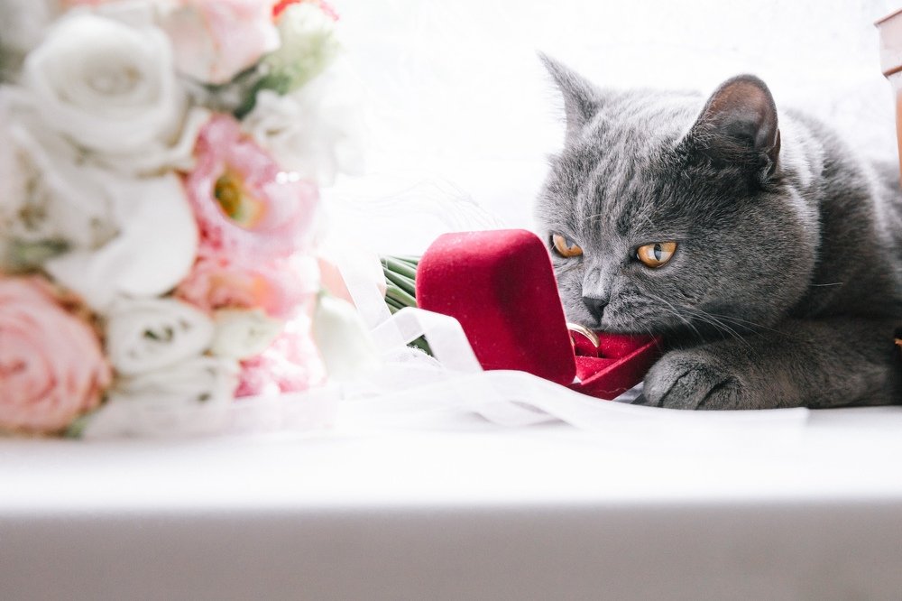 Photograph by Владимир Лукашев