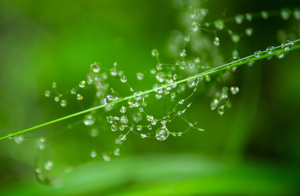 Photograph by Анастасия Ломаева