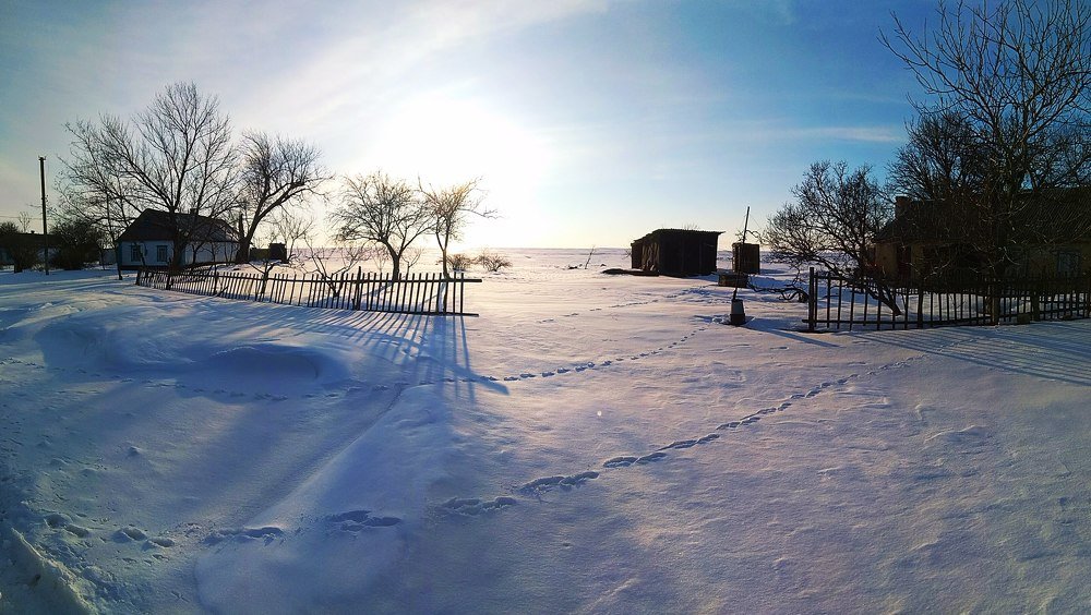 Photograph by Варвара Мелузова