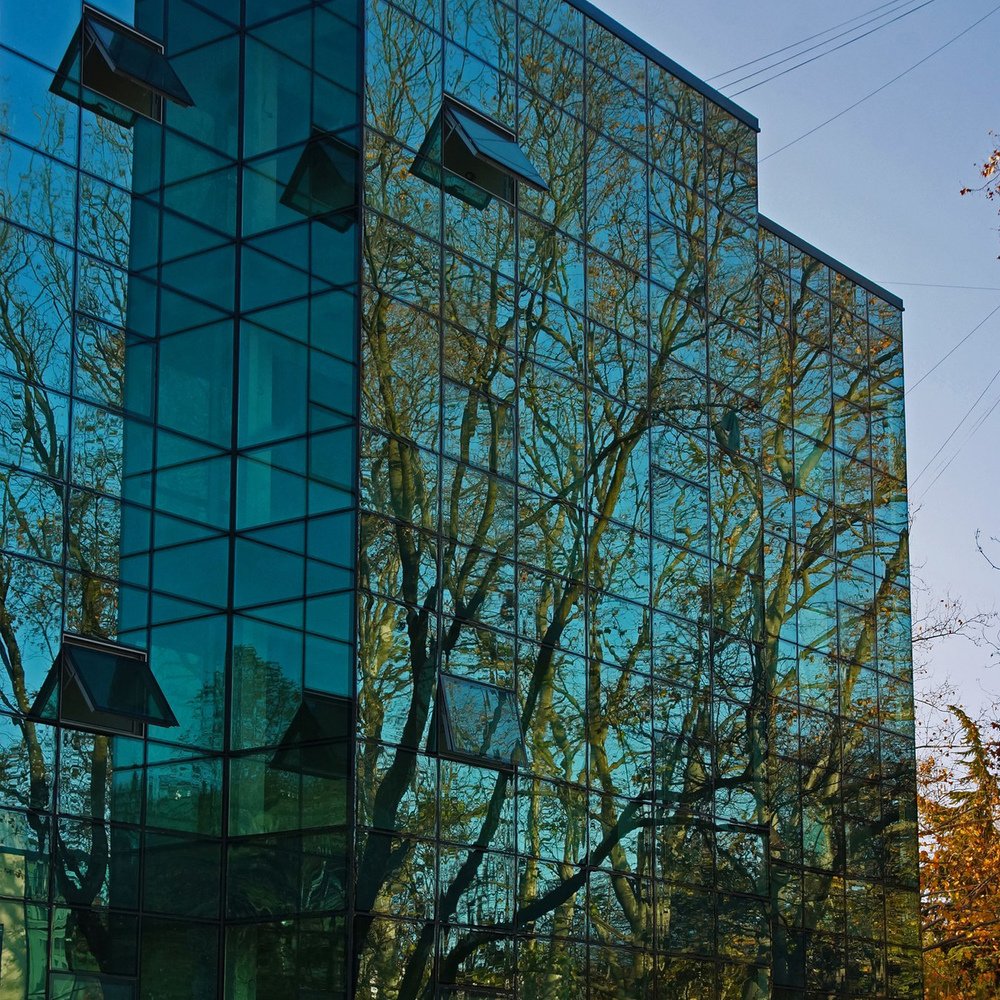 Photograph by Сергей Арямов