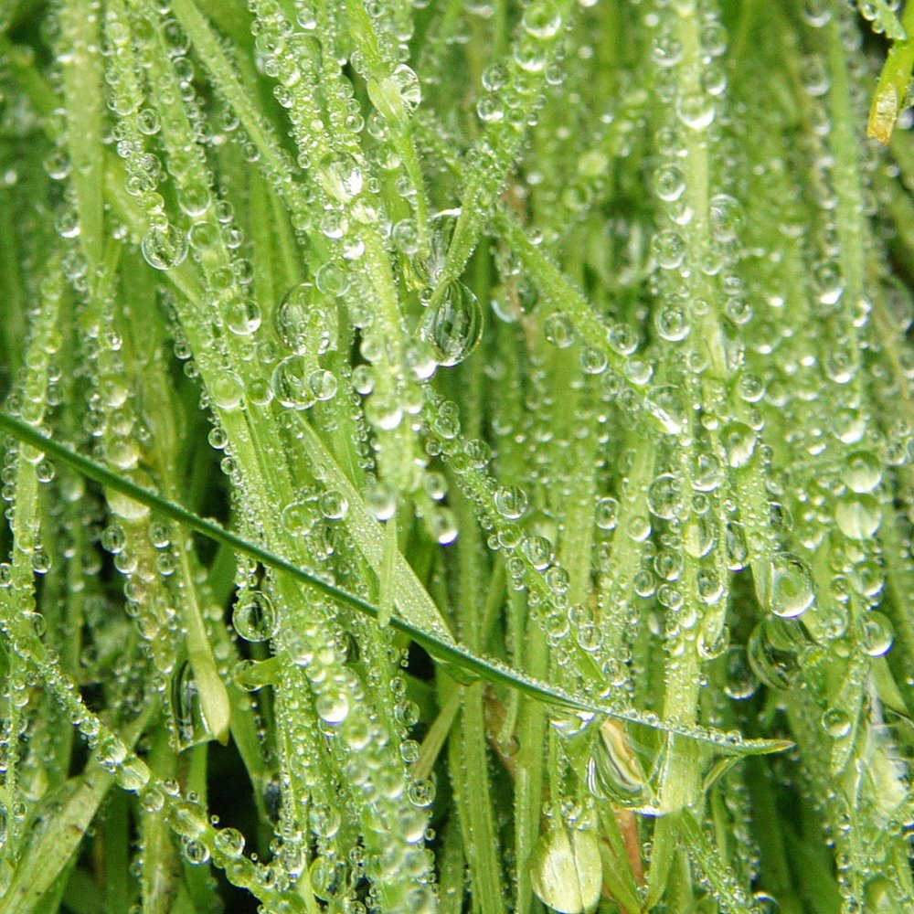 Photograph by Сергей Арямов