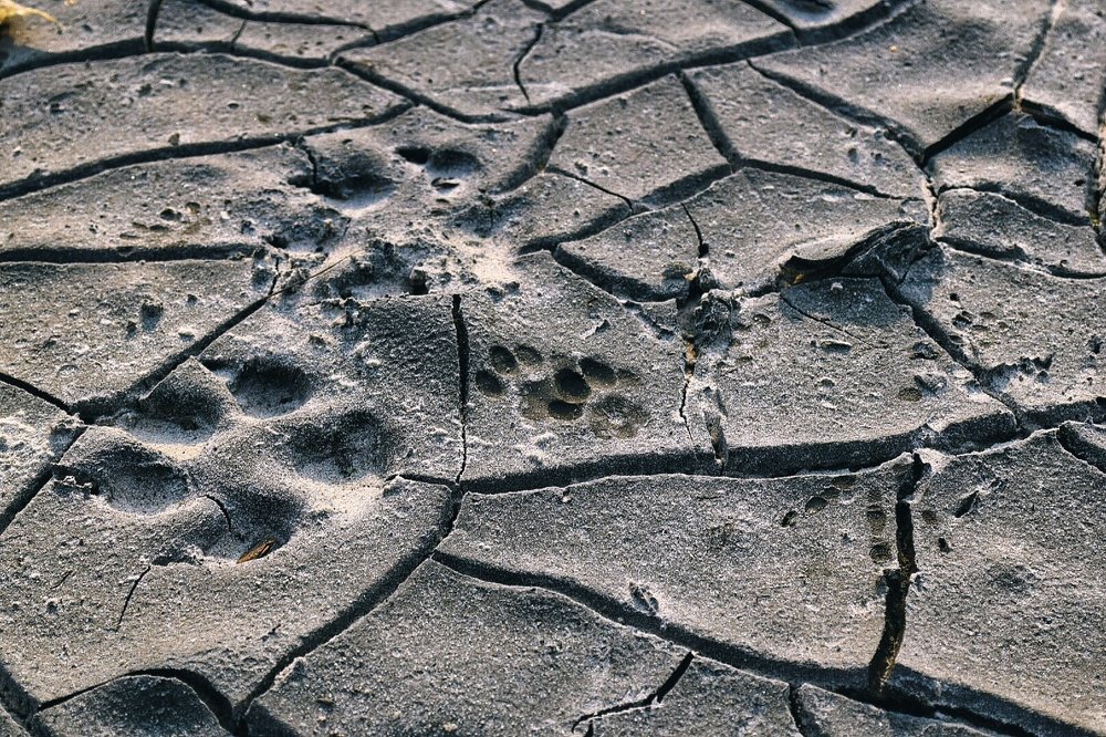 Фотография автора Дана Богинская