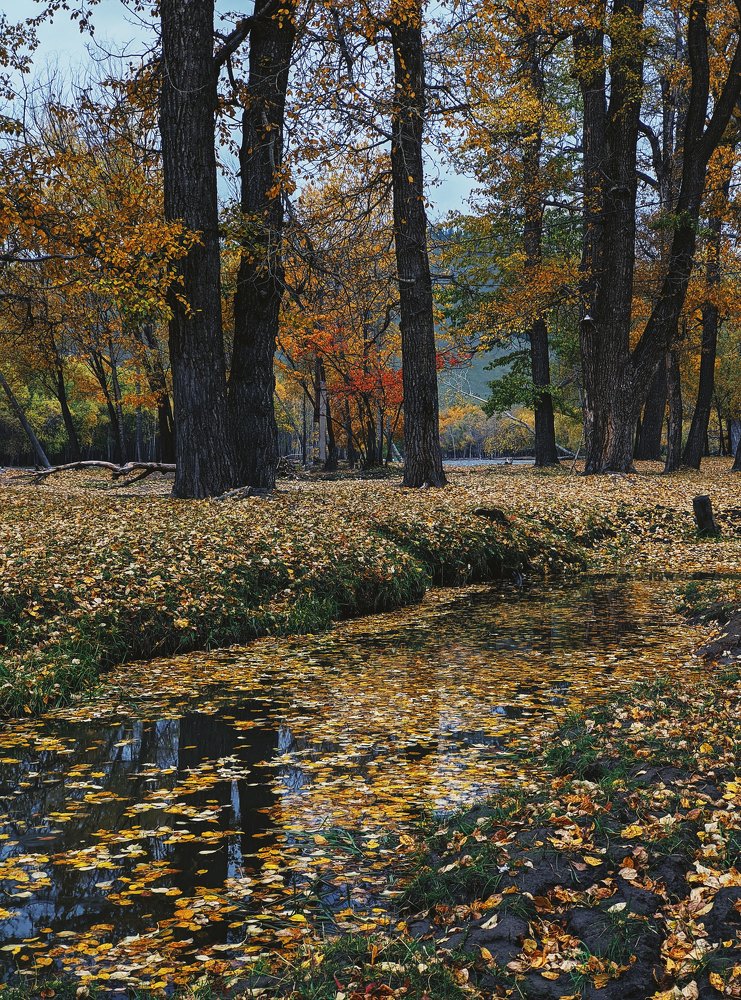 Photograph by Gansukh .S